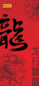 龙年海报国潮