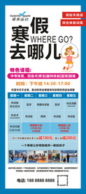 寒假去哪儿海报运动馆展架