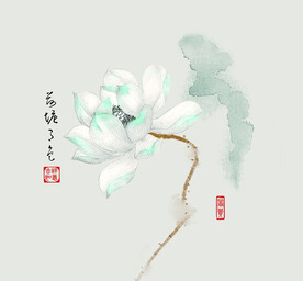 中式荷花