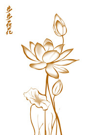 高档荷花