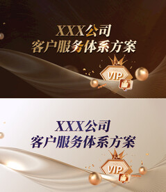 vip主视觉