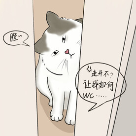 陪WC的猫