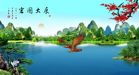 老鹰