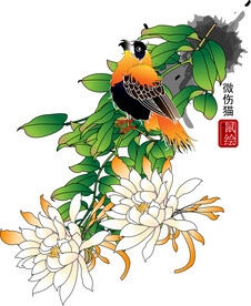 花鸟矢量图