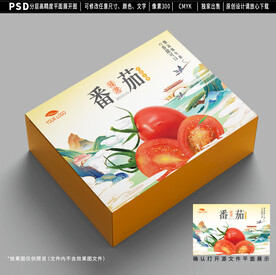 圣女果包装 番茄礼盒