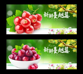 蔓越莓