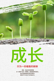 成长