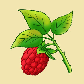 树莓