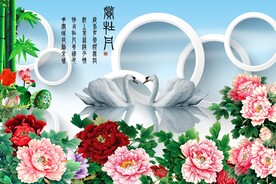 赏牡丹