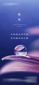 雨水  水滴  透明球体 