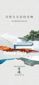 示范区开放海报