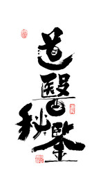 道医秘鉴