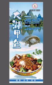 野生甲鱼