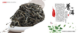 普洱茶
