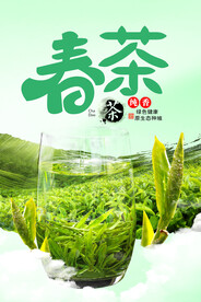 春茶