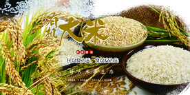 大米 