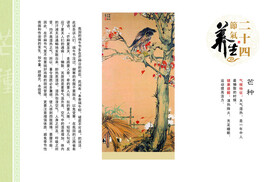 节气海报