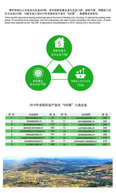 高效农业 发展展板 潍坊