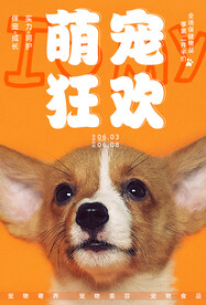 宠物海报