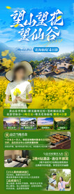 油菜花 旅游海报
