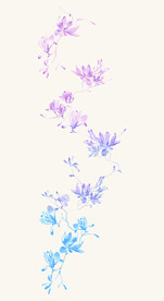 渐变花