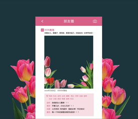 拍照框