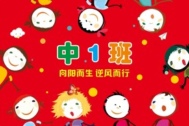 幼儿园班旗