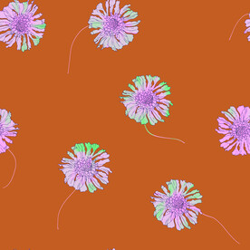 菊花大牌