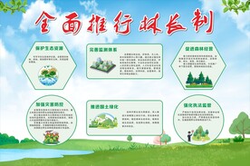 全面推行林长制