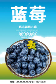 蓝莓