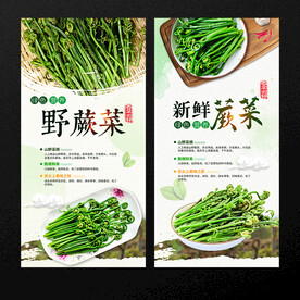 蕨菜