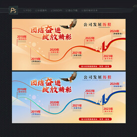 公司发展历程
