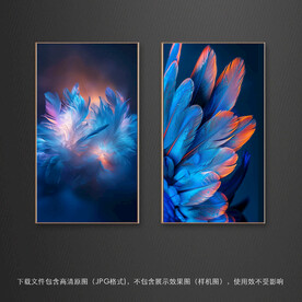 羽毛装饰画