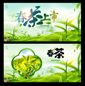 春茶