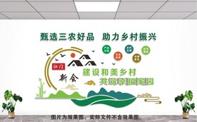 乡村振兴文化墙图片