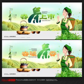 春茶