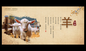 羊