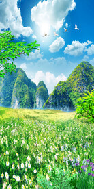 清新小路花草3D玄关