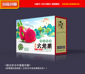火龙果礼盒 水果包装