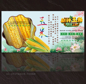 玉米展板