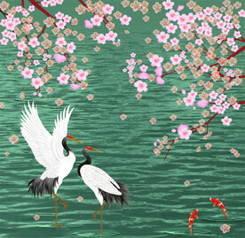 樱花 仙鹤 