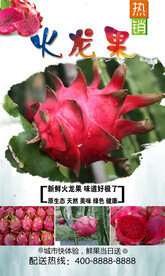 火龙果  