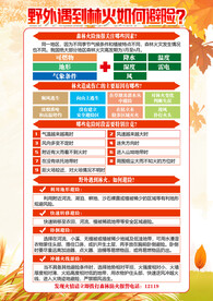 野外林火