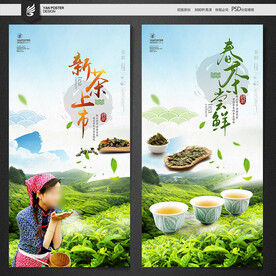 春茶
