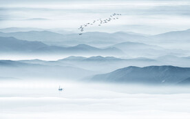 禅意山水画