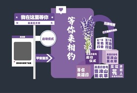 薰衣草背景