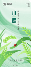 节气小满海报