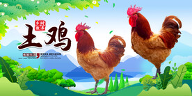 农家土鸡  