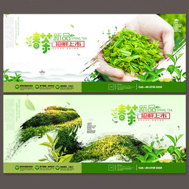春茶
