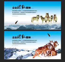 企业团队抱团取暖狼文化